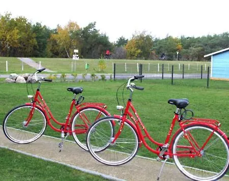 Kaeptn Brass 15 Deichblick *